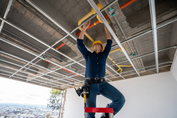 Best Plumbing Services Near Me  in Edisto, SC